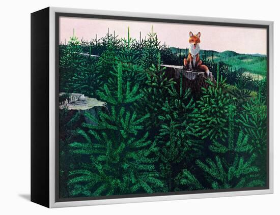 Mischevious Red Fox-Stan Galli-Framed Premier Image Canvas