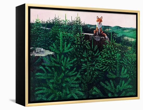 Mischevious Red Fox-Stan Galli-Framed Premier Image Canvas