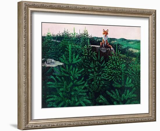 Mischevious Red Fox-Stan Galli-Framed Giclee Print