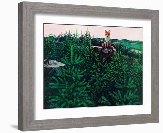 Mischevious Red Fox-Stan Galli-Framed Giclee Print