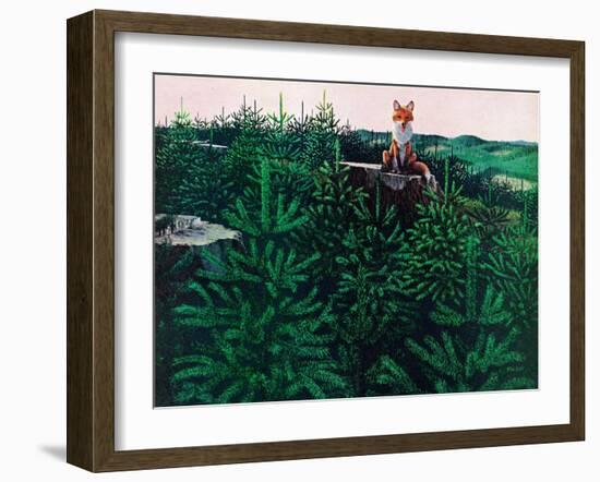 Mischevious Red Fox-Stan Galli-Framed Giclee Print