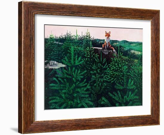 Mischevious Red Fox-Stan Galli-Framed Giclee Print