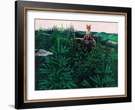 Mischevious Red Fox-Stan Galli-Framed Giclee Print