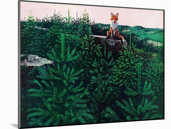 Mischevious Red Fox-Stan Galli-Mounted Giclee Print