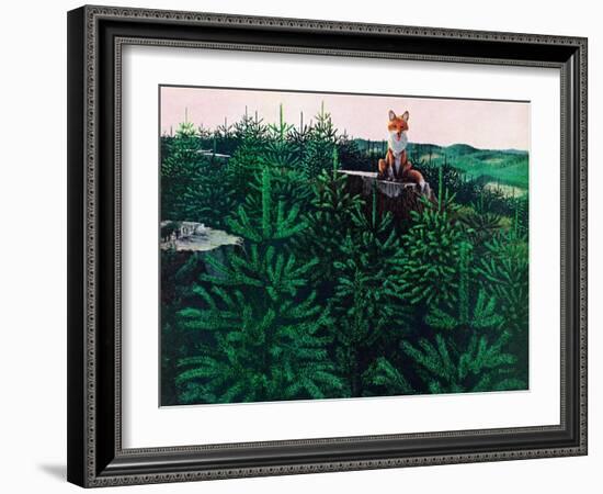 Mischevious Red Fox-Stan Galli-Framed Giclee Print