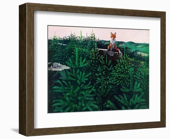 Mischevious Red Fox-Stan Galli-Framed Giclee Print