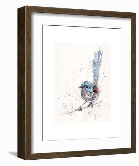 Mischief in the Making (Variegated Fairy Wren)-Sillier than Sally-Framed Art Print