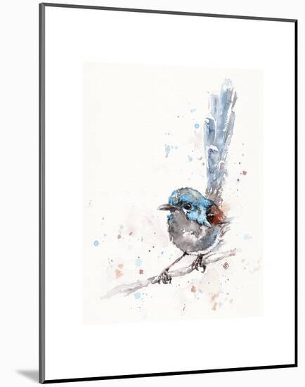 Mischief in the Making (Variegated Fairy Wren)-Sillier than Sally-Mounted Art Print