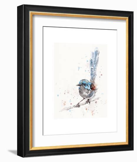 Mischief in the Making (Variegated Fairy Wren)-Sillier than Sally-Framed Art Print