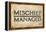 Mischief Managed-null-Framed Stretched Canvas