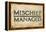 Mischief Managed-null-Framed Stretched Canvas