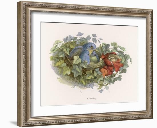 Mischievous Elf Raids a Birds' Nest-Richard Doyle-Framed Art Print