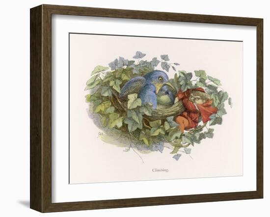 Mischievous Elf Raids a Birds' Nest-Richard Doyle-Framed Art Print