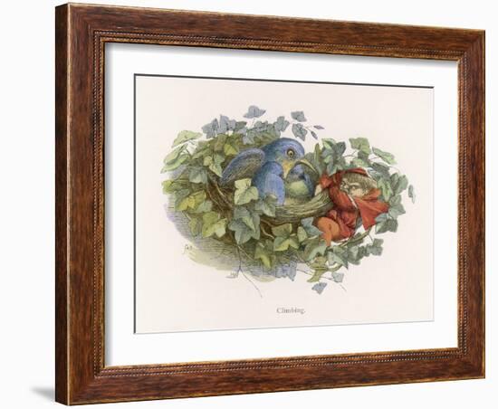 Mischievous Elf Raids a Birds' Nest-Richard Doyle-Framed Art Print