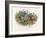 Mischievous Elf Raids a Birds' Nest-Richard Doyle-Framed Art Print