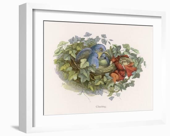 Mischievous Elf Raids a Birds' Nest-Richard Doyle-Framed Art Print