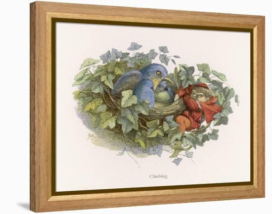 Mischievous Elf Raids a Birds' Nest-Richard Doyle-Framed Stretched Canvas