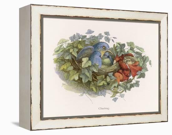 Mischievous Elf Raids a Birds' Nest-Richard Doyle-Framed Stretched Canvas