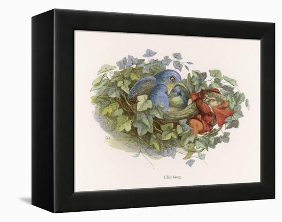 Mischievous Elf Raids a Birds' Nest-Richard Doyle-Framed Stretched Canvas