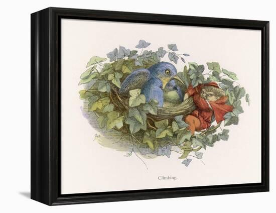 Mischievous Elf Raids a Birds' Nest-Richard Doyle-Framed Stretched Canvas