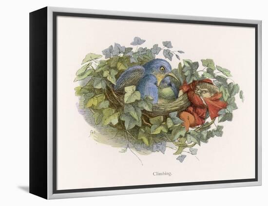 Mischievous Elf Raids a Birds' Nest-Richard Doyle-Framed Stretched Canvas