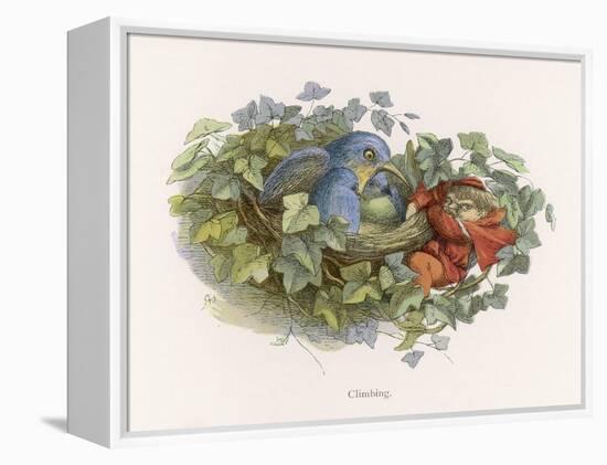 Mischievous Elf Raids a Birds' Nest-Richard Doyle-Framed Stretched Canvas