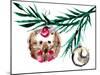 Mischievous Holiday Animal - Ornamental Hedgehog-Stella Chang-Mounted Art Print