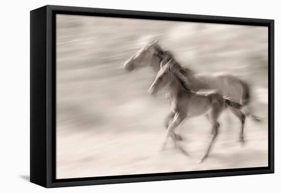 Mischievous Spirit-Martine Benezech-Framed Premier Image Canvas