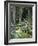 Mischwald, Baumstv¤Mme, Liegen, Waldboden, Wald, Bv¤Ume, Natur-Thonig-Framed Photographic Print