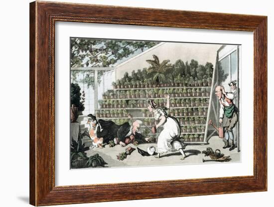 Misfortune in the Tulip Hall, C1816-Thomas Rowlandson-Framed Giclee Print