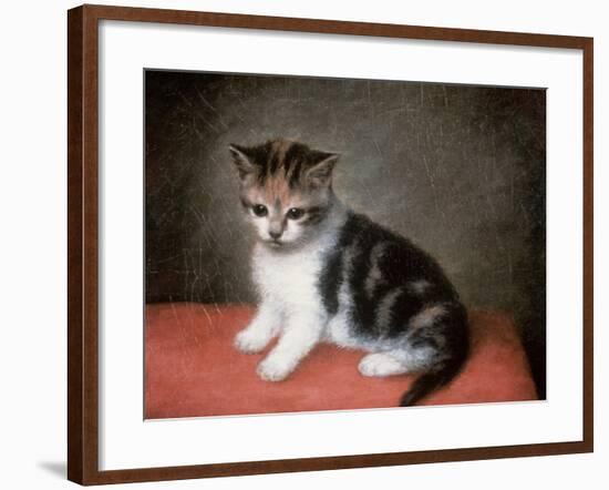 Miss Ann White's Kitten, 1790-George Stubbs-Framed Giclee Print