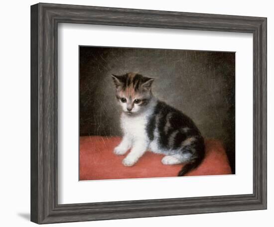 Miss Ann White's Kitten, 1790-George Stubbs-Framed Giclee Print