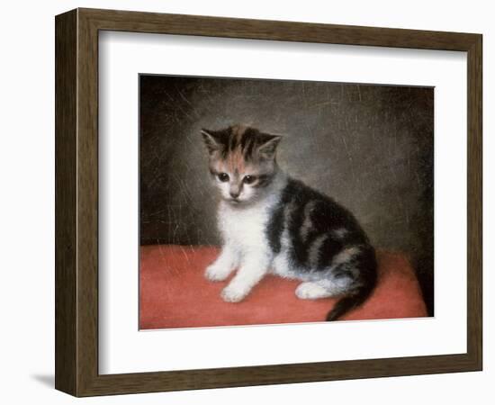 Miss Ann White's Kitten, 1790-George Stubbs-Framed Giclee Print