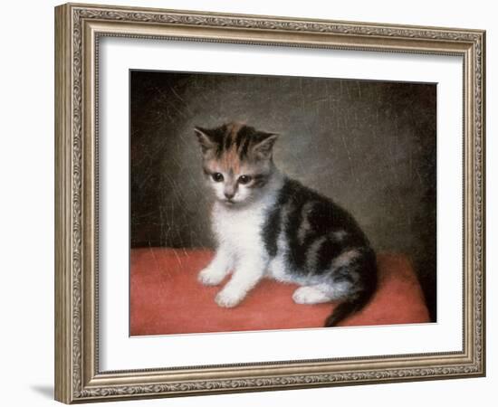 Miss Ann White's Kitten, 1790-George Stubbs-Framed Giclee Print