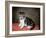 Miss Ann White's Kitten, 1790-George Stubbs-Framed Giclee Print