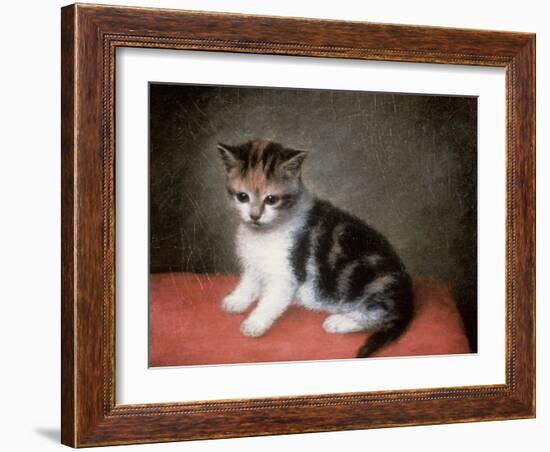 Miss Ann White's Kitten, 1790-George Stubbs-Framed Giclee Print