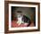 Miss Ann White's Kitten, 1790-George Stubbs-Framed Giclee Print