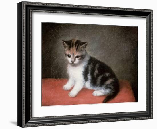 Miss Ann White's Kitten, 1790-George Stubbs-Framed Giclee Print