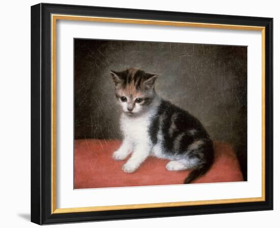 Miss Ann White's Kitten, 1790-George Stubbs-Framed Giclee Print