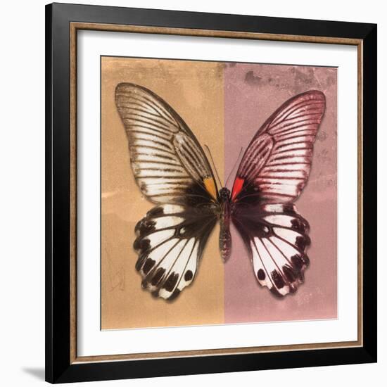 Miss Butterfly Agenor Sq - Orange & Red-Philippe Hugonnard-Framed Photographic Print