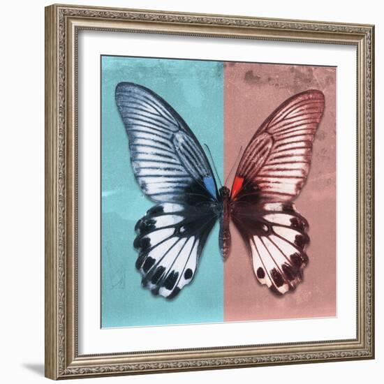 Miss Butterfly Agenor Sq - Turquoise & Red-Philippe Hugonnard-Framed Photographic Print