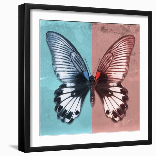 Miss Butterfly Agenor Sq - Turquoise & Red-Philippe Hugonnard-Framed Photographic Print