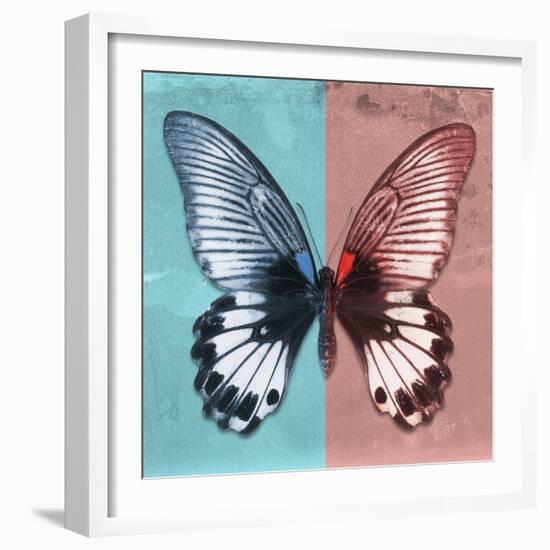 Miss Butterfly Agenor Sq - Turquoise & Red-Philippe Hugonnard-Framed Photographic Print