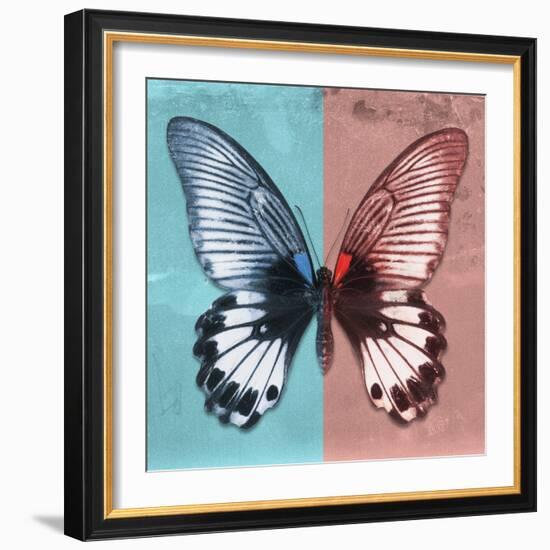 Miss Butterfly Agenor Sq - Turquoise & Red-Philippe Hugonnard-Framed Photographic Print