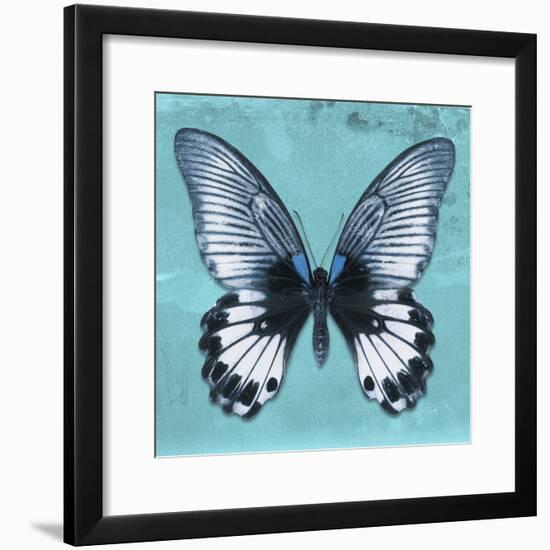 Miss Butterfly Agenor Sq - Turquoise-Philippe Hugonnard-Framed Photographic Print