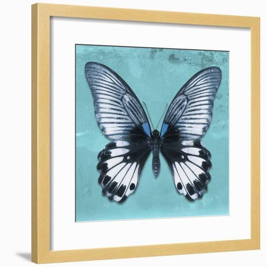 Miss Butterfly Agenor Sq - Turquoise-Philippe Hugonnard-Framed Photographic Print