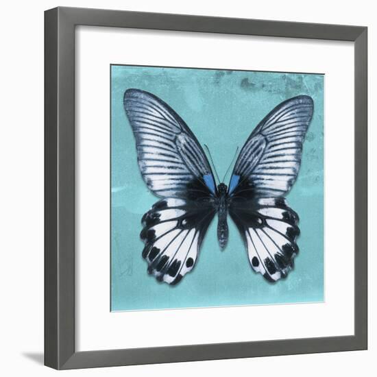 Miss Butterfly Agenor Sq - Turquoise-Philippe Hugonnard-Framed Photographic Print