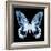 Miss Butterfly Agenor Sq - X-Ray Black Edition-Philippe Hugonnard-Framed Photographic Print