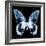 Miss Butterfly Agenor Sq - X-Ray Black Edition-Philippe Hugonnard-Framed Photographic Print