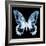 Miss Butterfly Agenor Sq - X-Ray Black Edition-Philippe Hugonnard-Framed Photographic Print